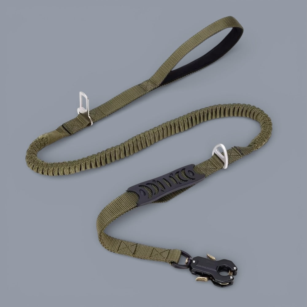 Quick-Release Frog Clip Bungee Leash - (Absorbs Pulls) | Purrfect Pet Kingdom