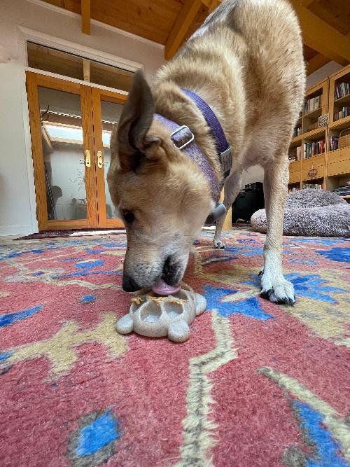 Pet Supply Product | The Finest Market