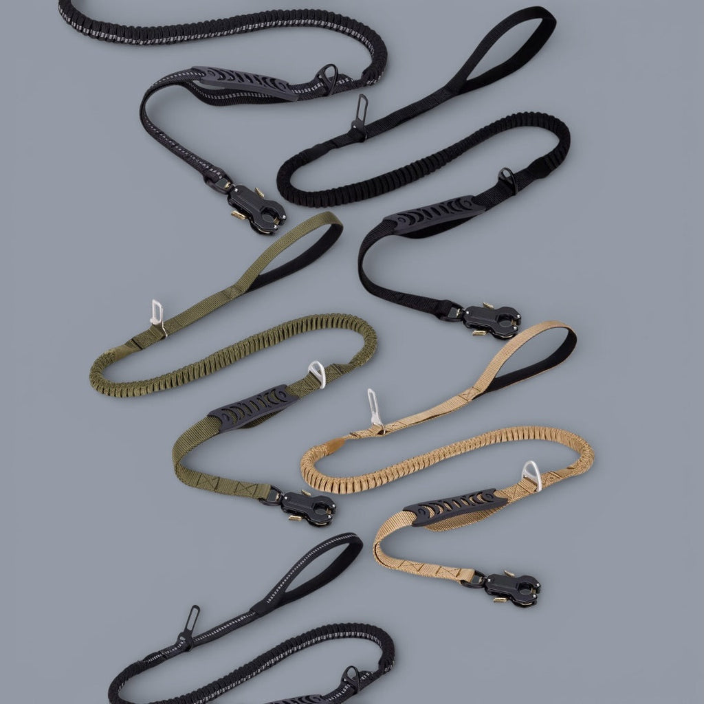 Quick-Release Frog Clip Bungee Leash - (Absorbs Pulls) Ergonomic | Majestic Pet Kingdom™