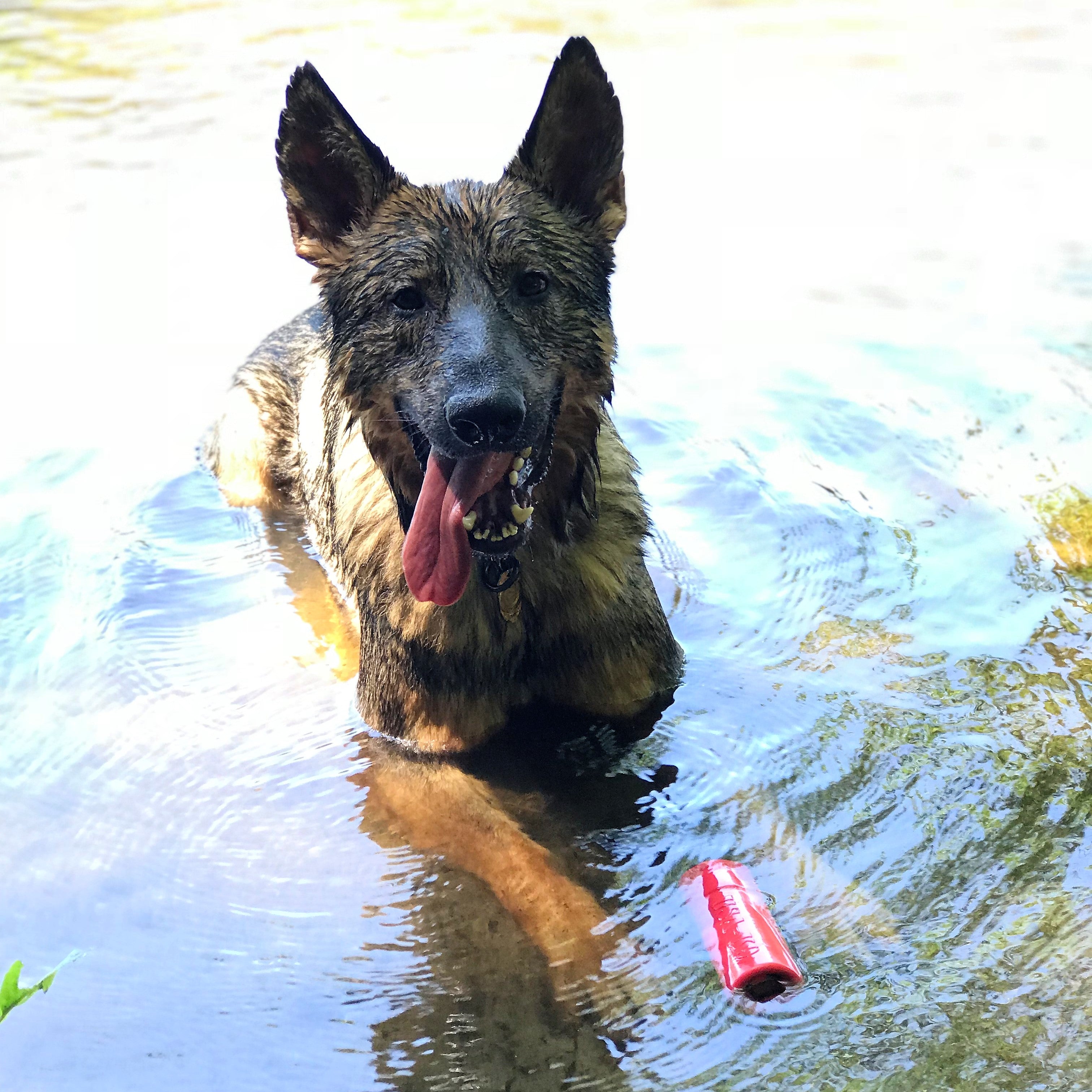 Pet Supply Product | The Finest Market