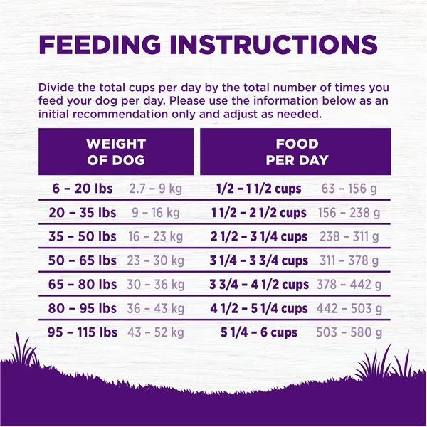 Dog Food Wellness Complete Health Beef and Barley Dry Kibble