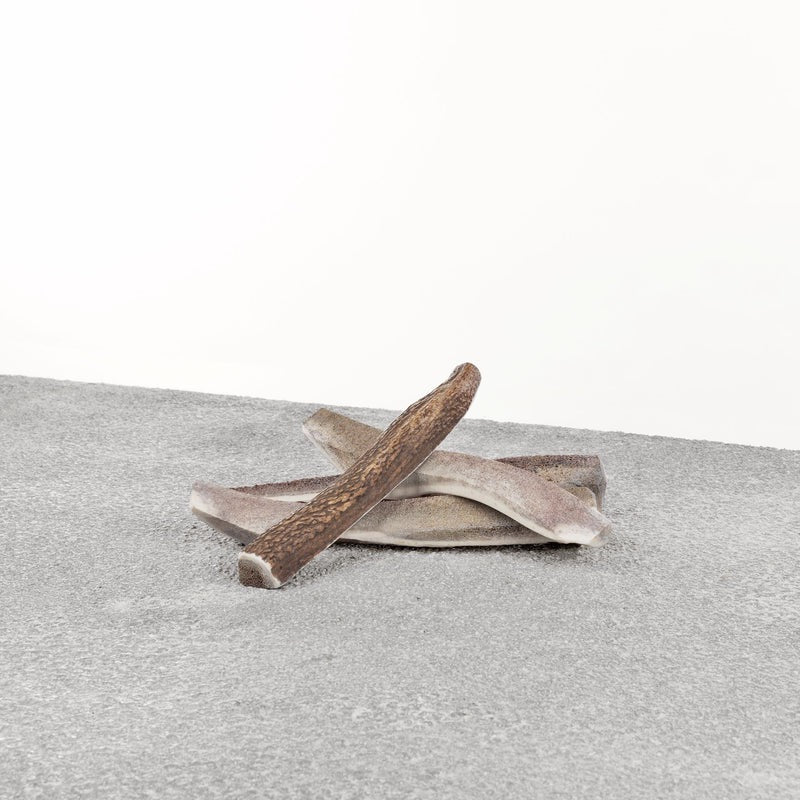 Dog Antler Chews Primal Split Stag Deer Antler Chew Bone Med