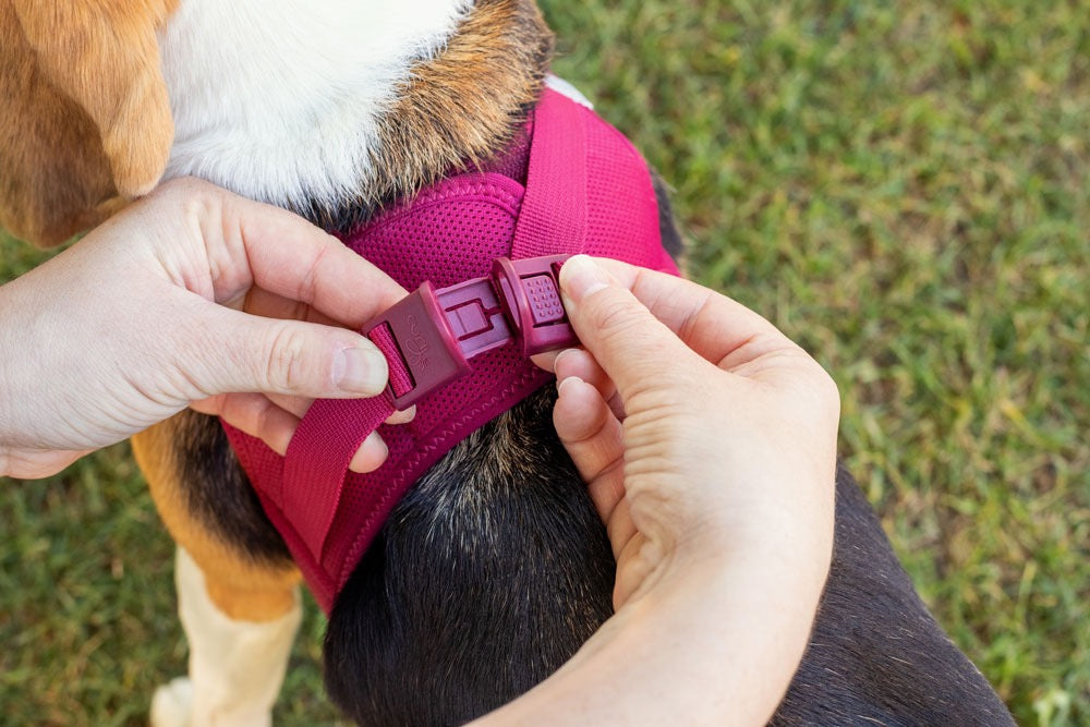 Dog Harness Curli Air Mesh Clasp Brown Breathable Step-In