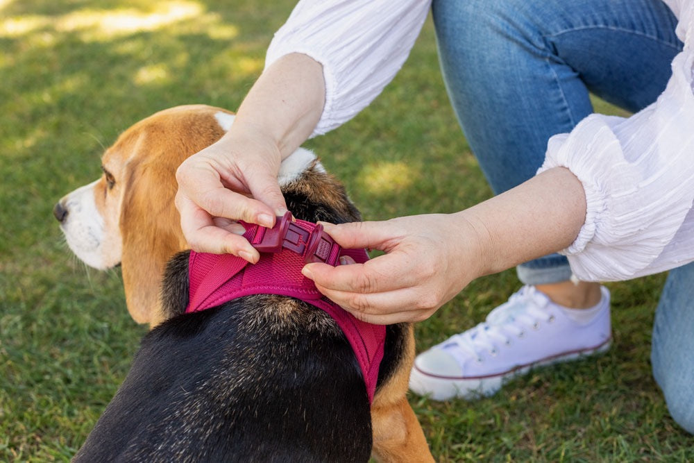 Dog Harness Curli Air Mesh Clasp Brown Breathable Step-In