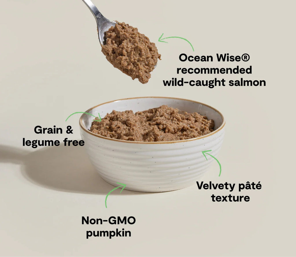 Open Farm Grain Free Wild-Caught Salmon Pate for Cats (2.8oz) - Majestic Pet Kingdom