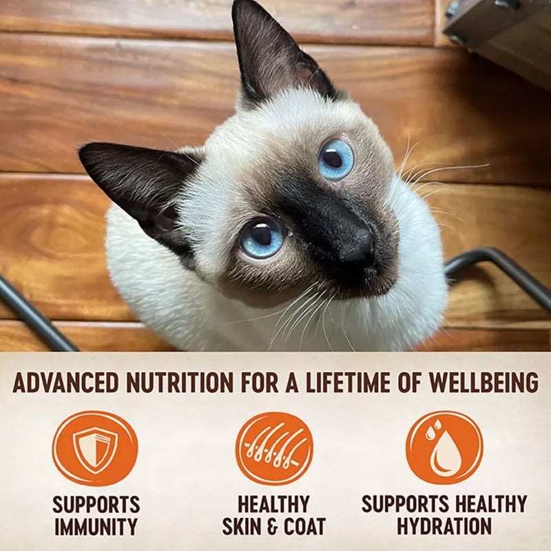 Wellness Core Tiny Tasters Tuna Pate (1.75oz) - Majestic Pet Kingdom