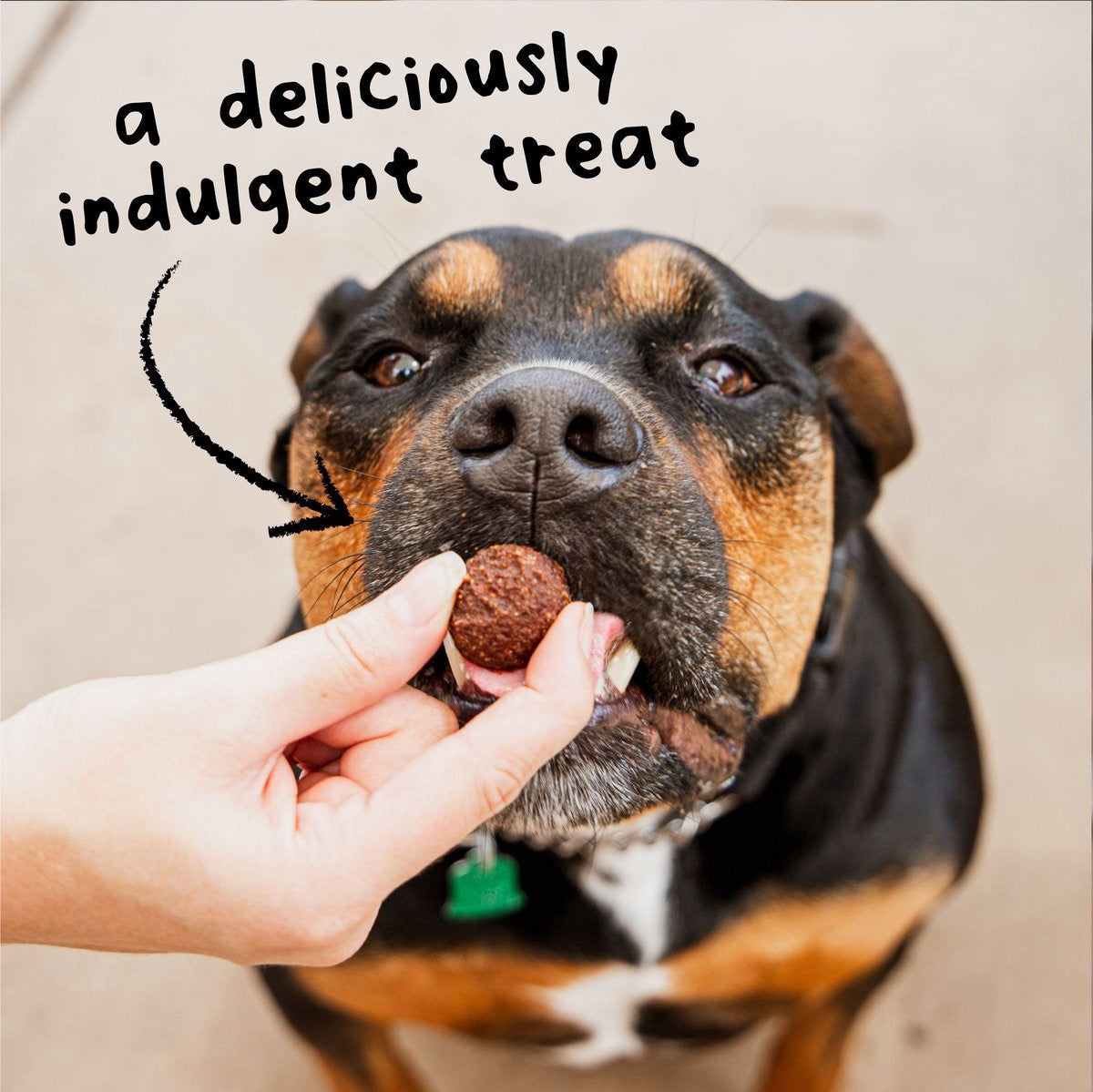 Dog Treats Wagmore Grain-Free Beef Meatball Bites Chews 14oz