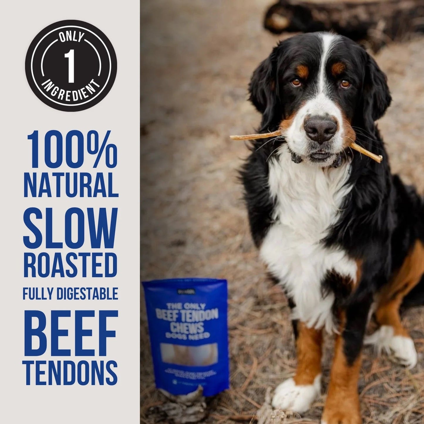Dog Chews Natural Rapport Beef Tendon Dental Treats 5-Pack - Detail Angle 3 | Majestic Pet Kingdom