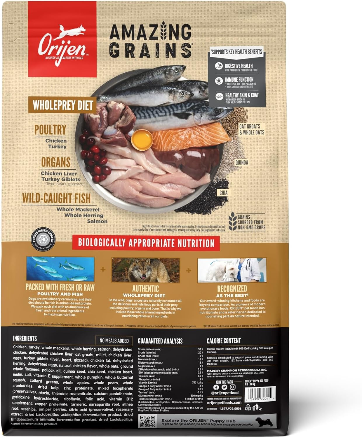 Dog Food Orijen Amazing Grains Puppy High Protein Dry Kibble