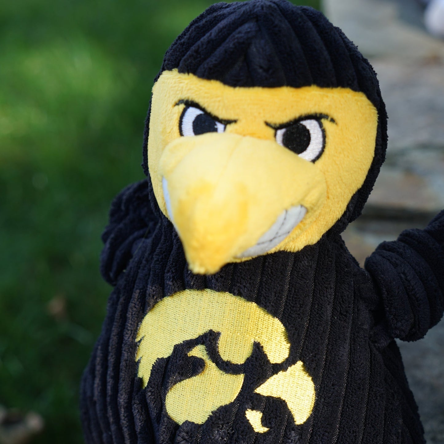Dog Plush Toy NCAA Iowa Herky the Hawk Mascot Knottie Squeak