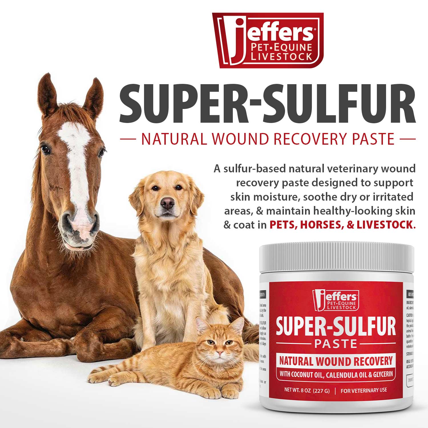 Luxury Pet Essentials - Purrfect Pet Kingdom™