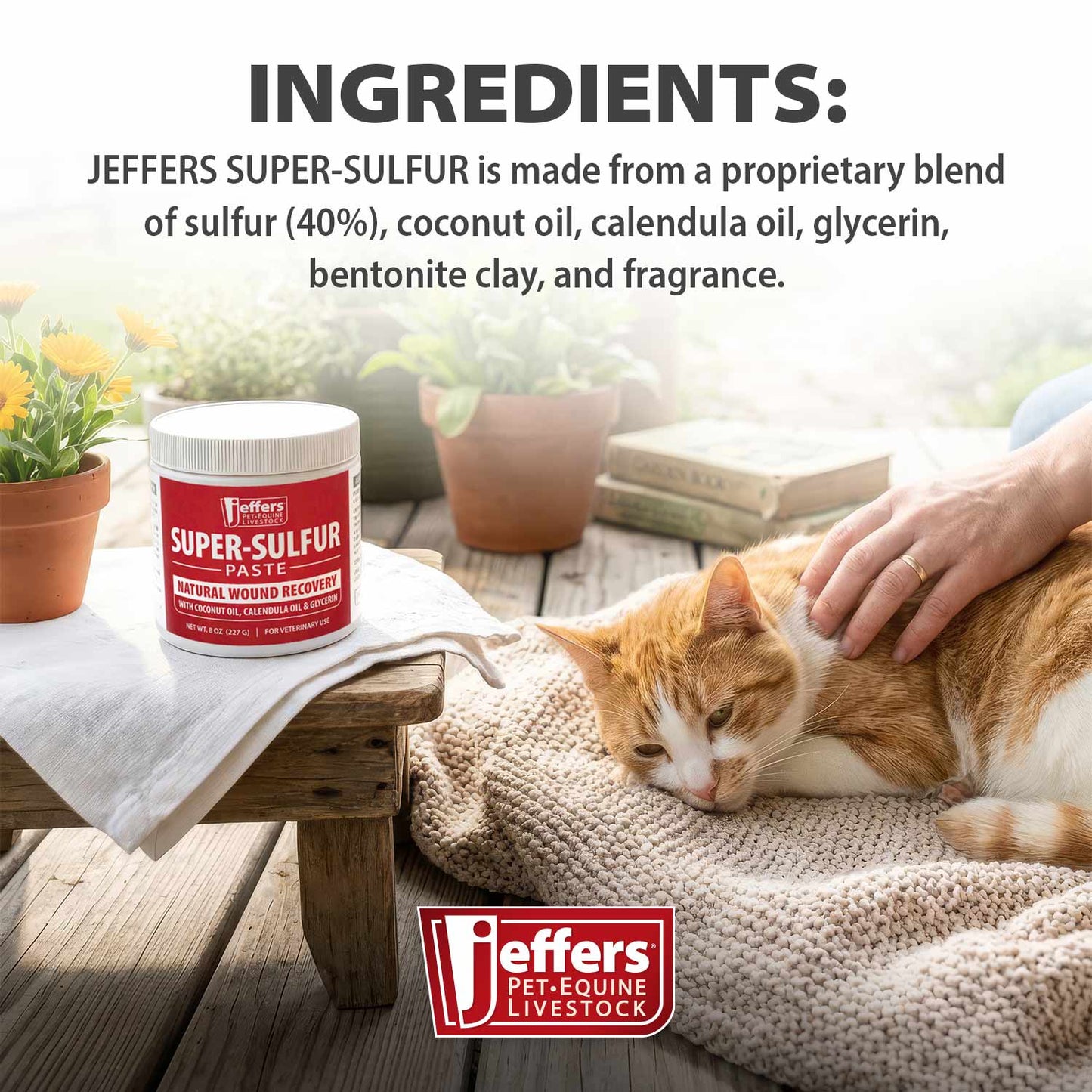 Luxury Pet Essentials - Purrfect Pet Kingdom™