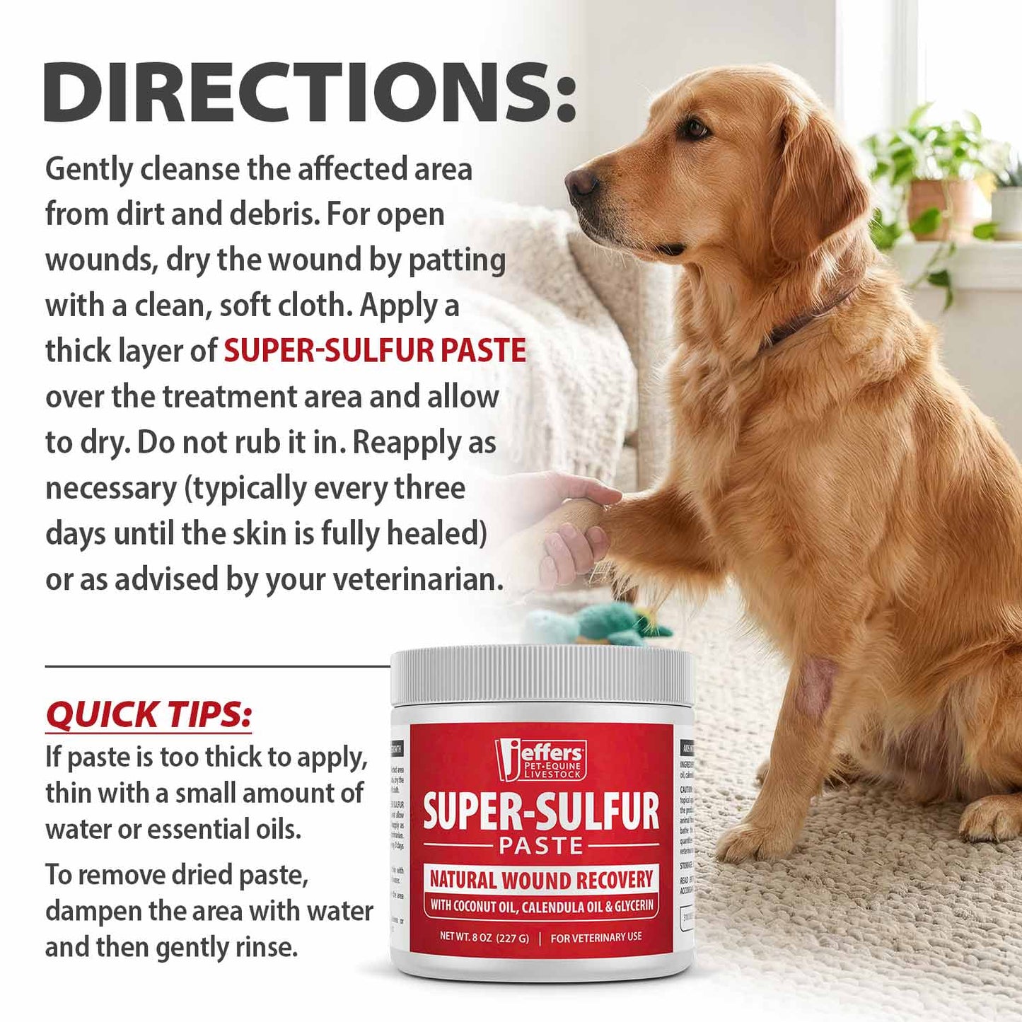 Luxury Pet Essentials - Purrfect Pet Kingdom™