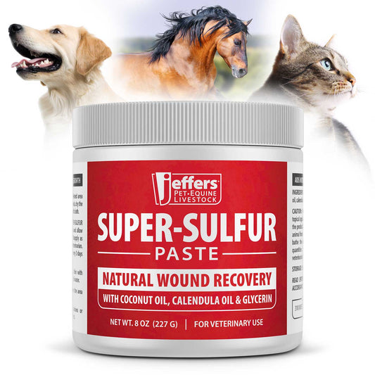 Jeffers Super-Sulfur Skin & Wound Healing Paste for Pets, Horses, & | Majestic Pet Kingdom™