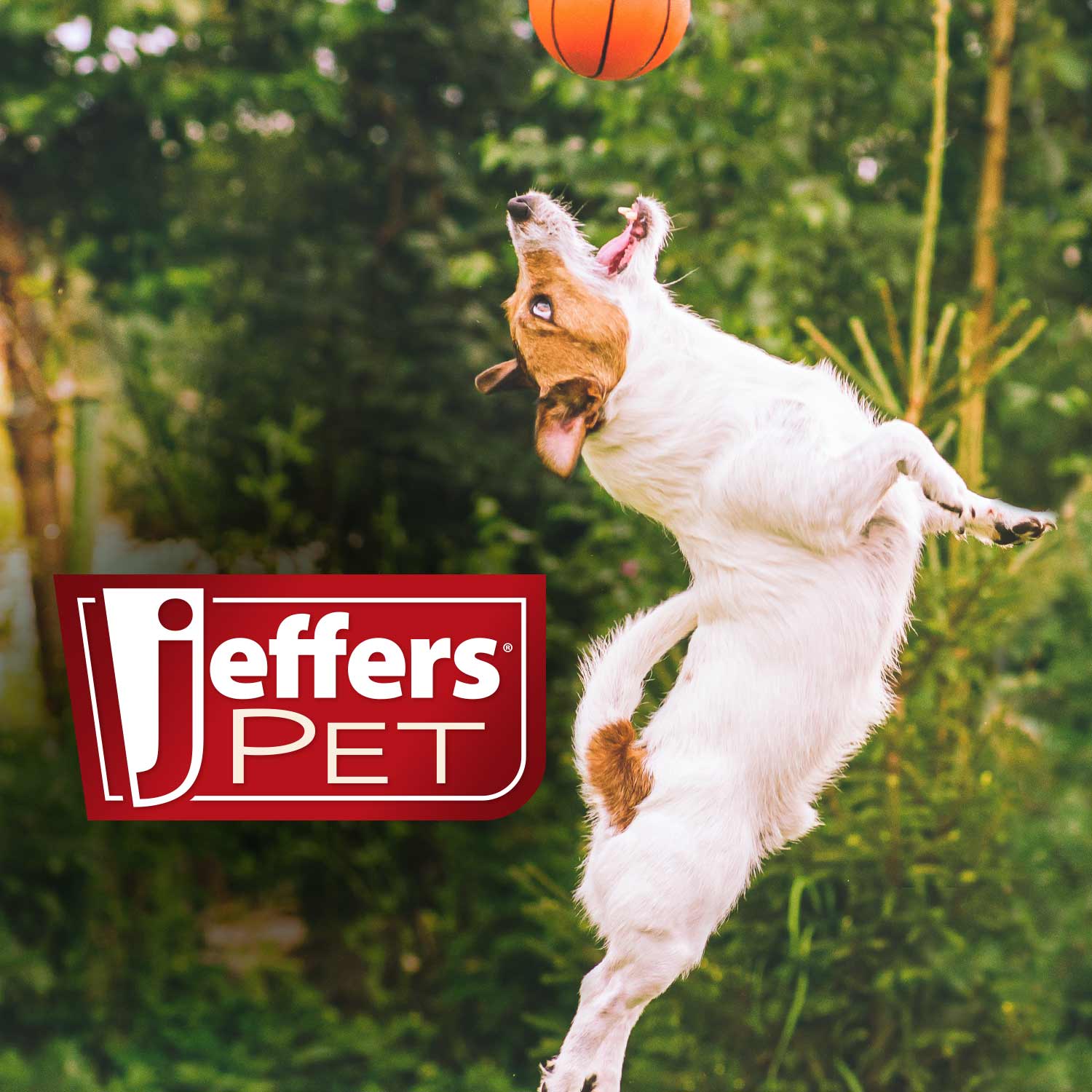 Luxury Pet Essentials - Purrfect Pet Kingdom™
