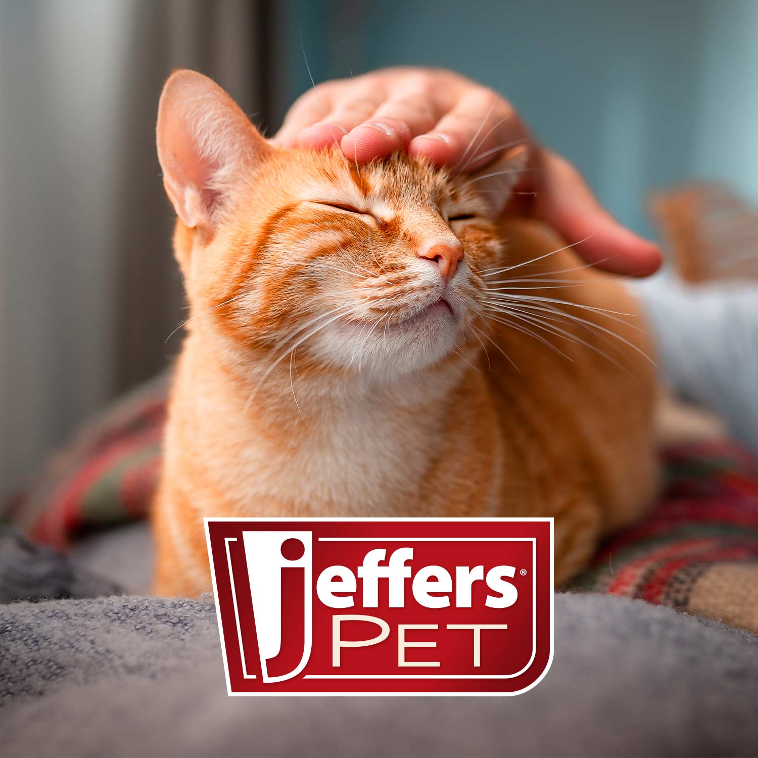Luxury Pet Essentials - Purrfect Pet Kingdom™