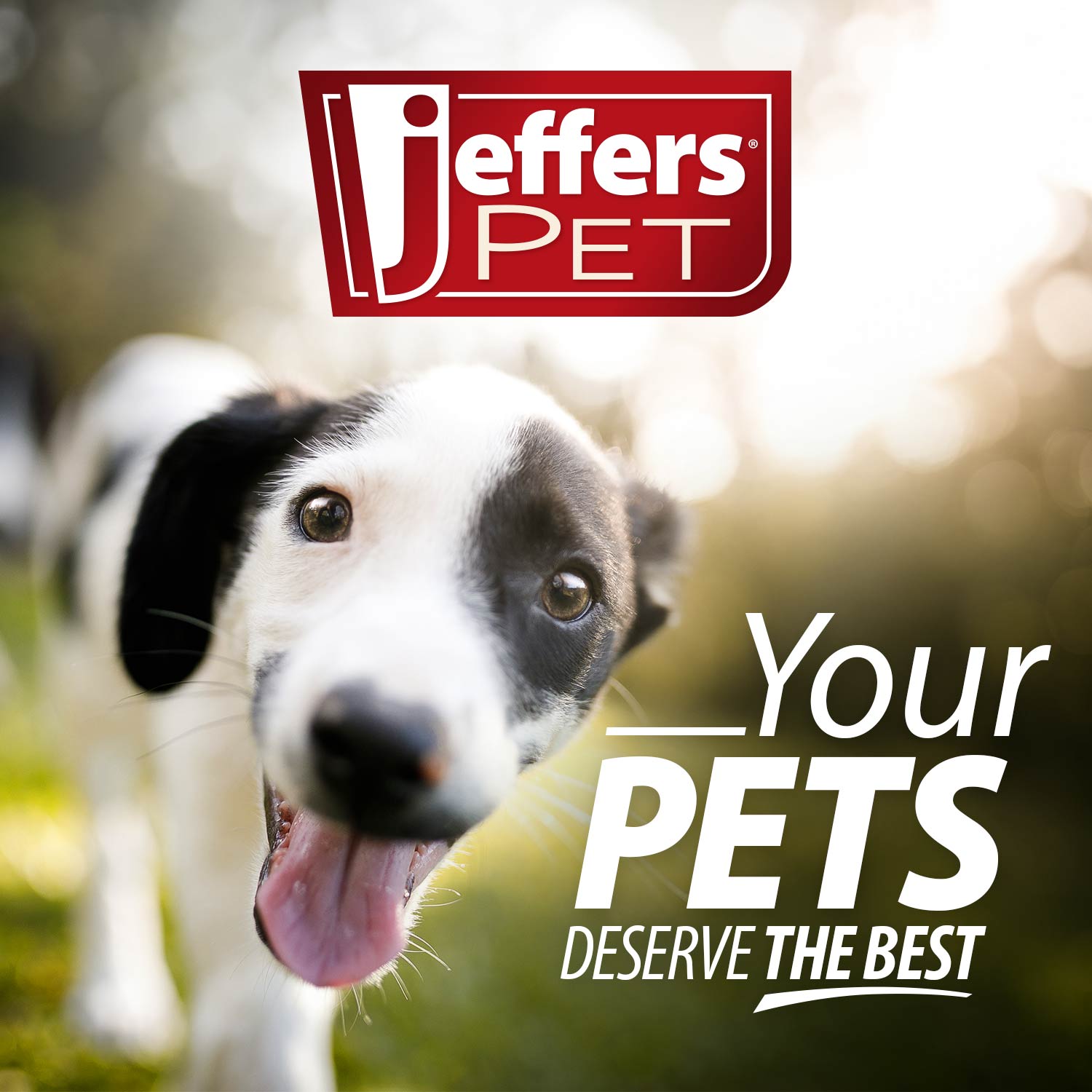 Luxury Pet Essentials - Purrfect Pet Kingdom™
