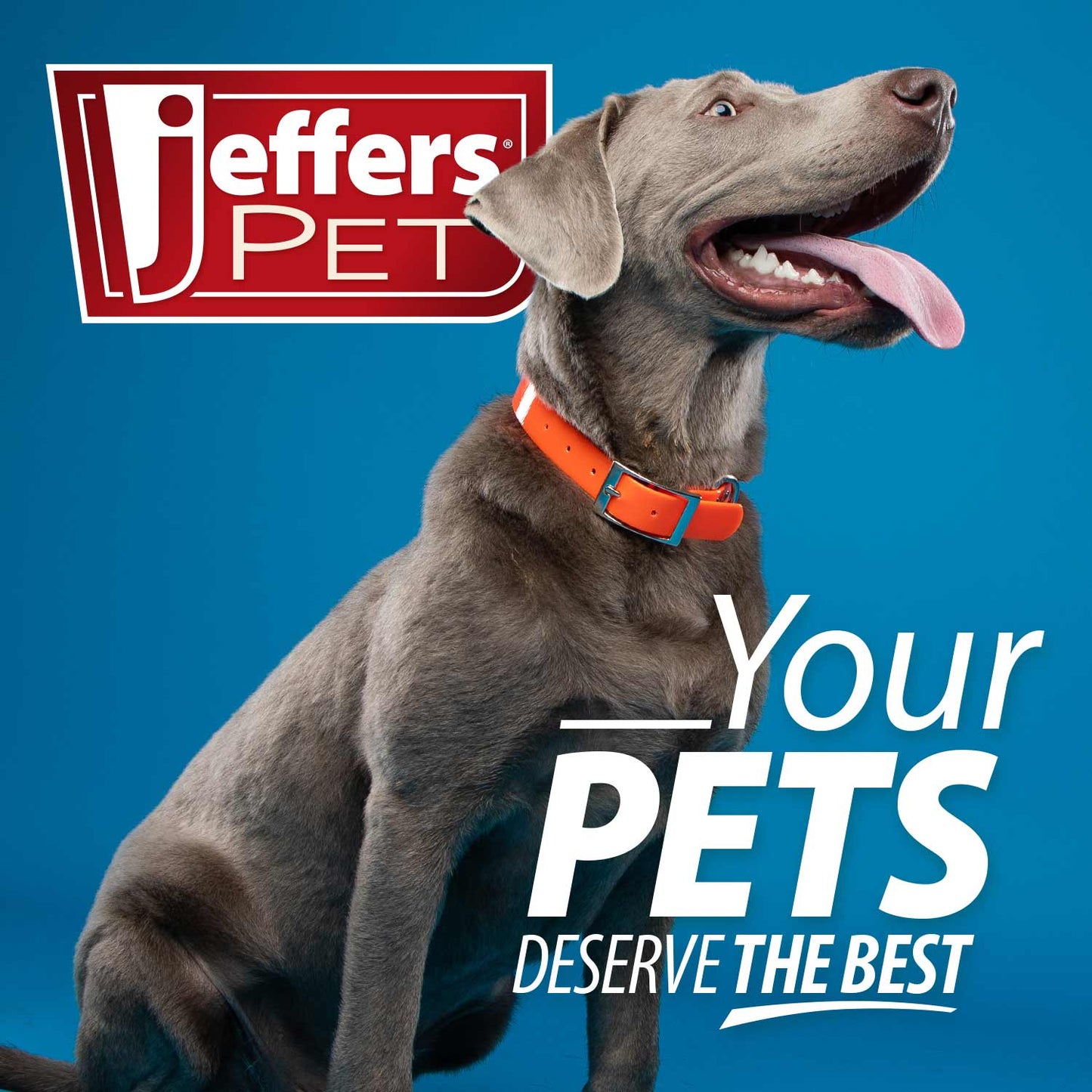 Luxury Pet Essentials - Purrfect Pet Kingdom™