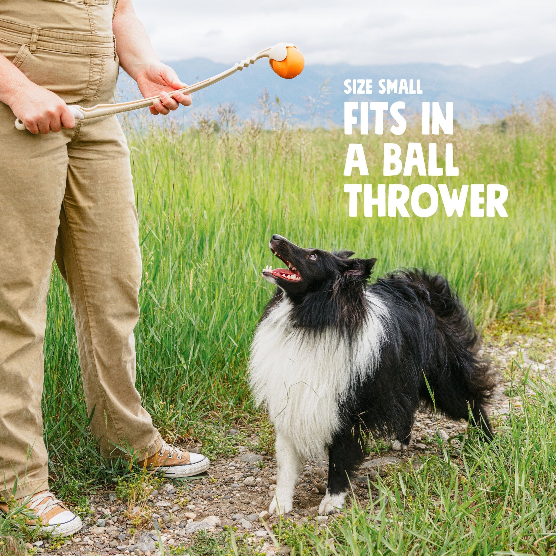 Dog Ball Toy Jive Erratic Bounce Rubber Fetch Tough Chewers - Detail Angle 5 | Majestic Pet Kingdom