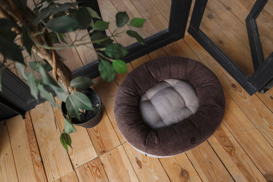 pet-chester-ortho-series-luxury-view-1 | Majestic Pet Kingdom