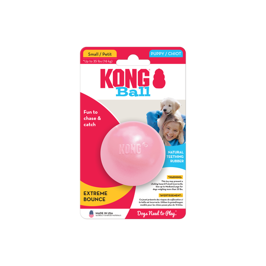 Kong Puppy Ball With Hole Small