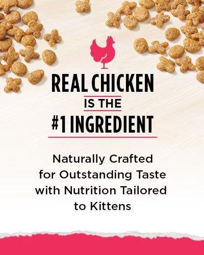 Cat Food Purina Cat Chow Naturals Original Chicken Dry