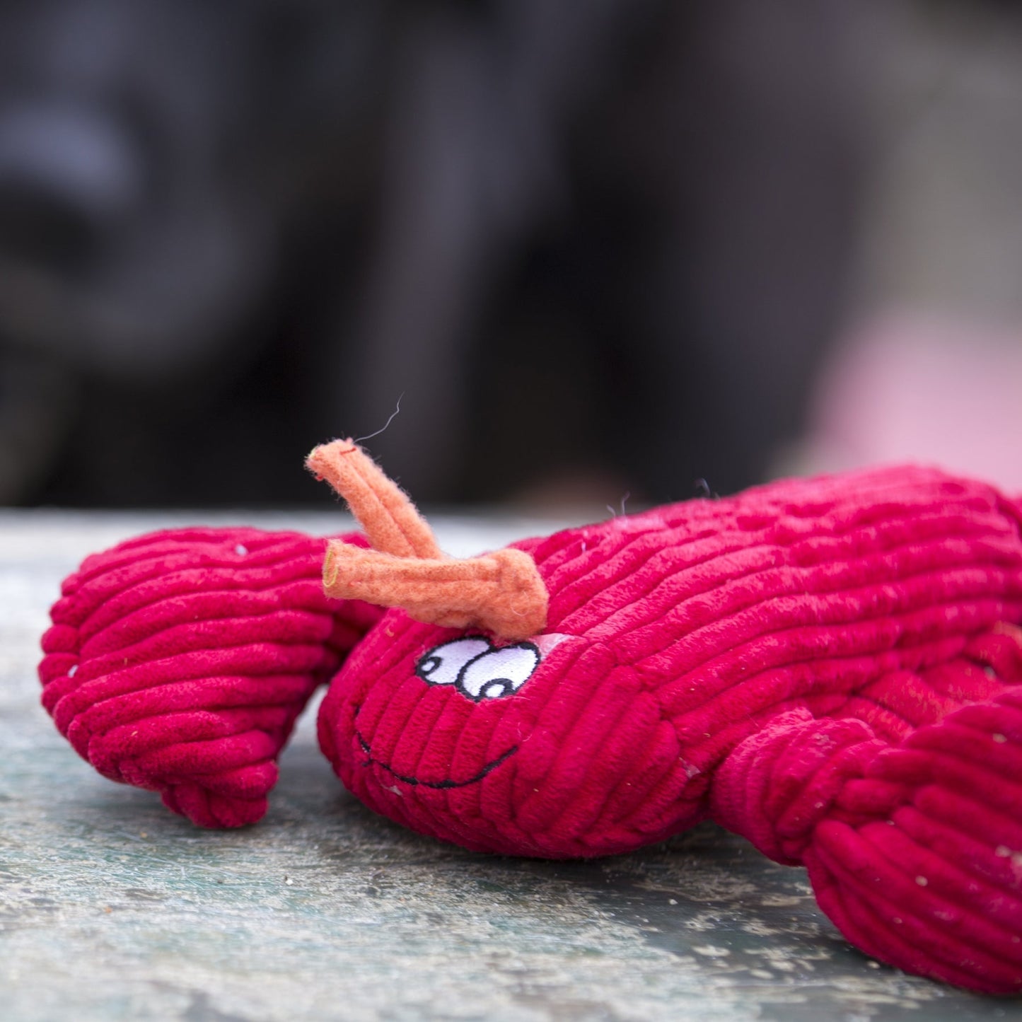 Dog Plush Toy McCraken Lobsta Knottie Squeaky Stuffed Animal