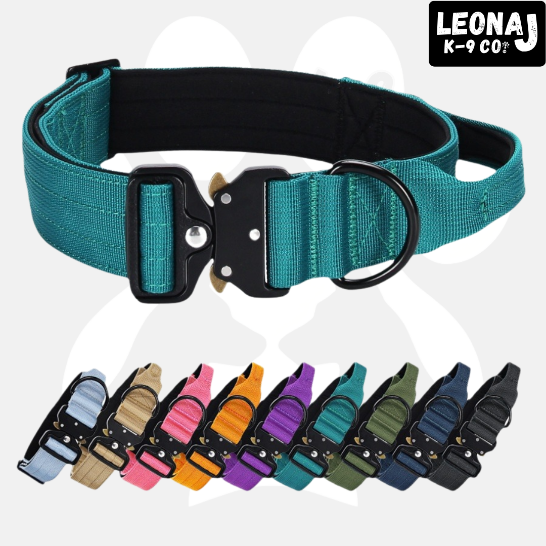 Sleek-Lux Padded Dog Collar Ergonomic Walking Harness | Majestic Pet Kingdom™