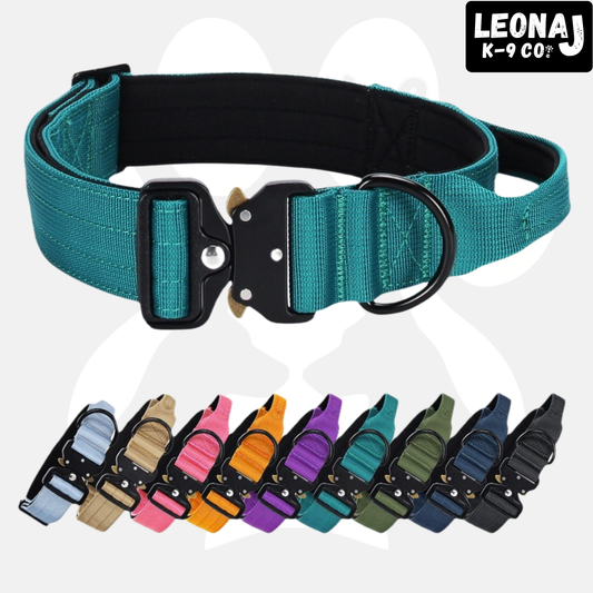 Sleek-Lux Padded Dog Collar | Purrfect Pet Kingdom