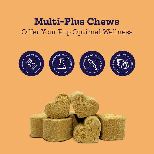 Dog Multivitamin Multi-Plus Daily Health Support Soft Chews