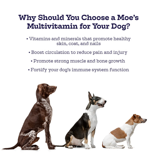Dog Multivitamin Multi-Plus Daily Health Support Soft Chews