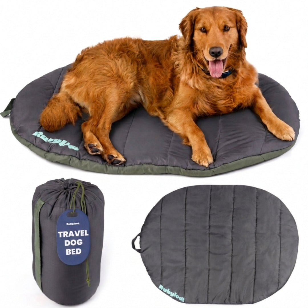 Travel Dog Bed - Foldable & Packable for Travel, Road Trip, Camping - Majestic Pet Kingdom