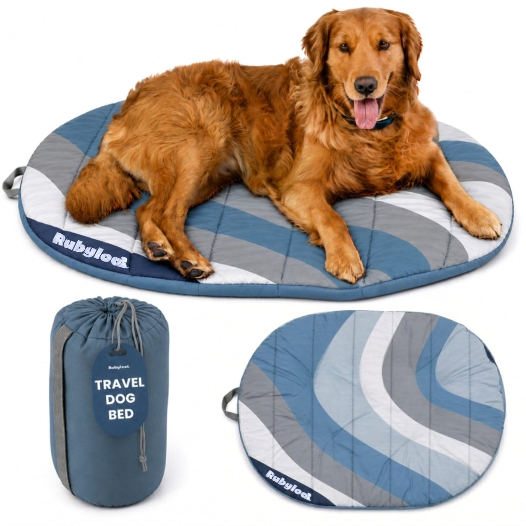 Travel Dog Bed - Foldable & Packable for Travel, Road Trip, Camping - Majestic Pet Kingdom