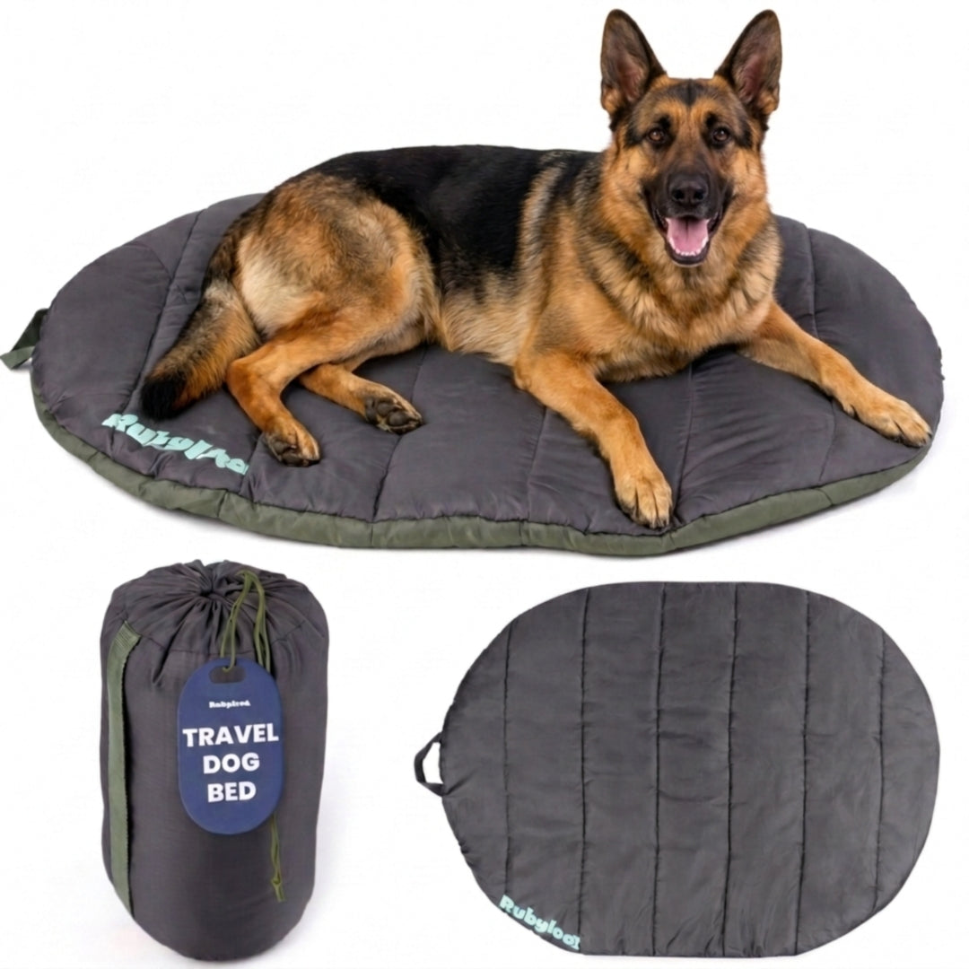 Travel Dog Bed - Foldable & Packable for Travel, Road Trip, Camping - Majestic Pet Kingdom
