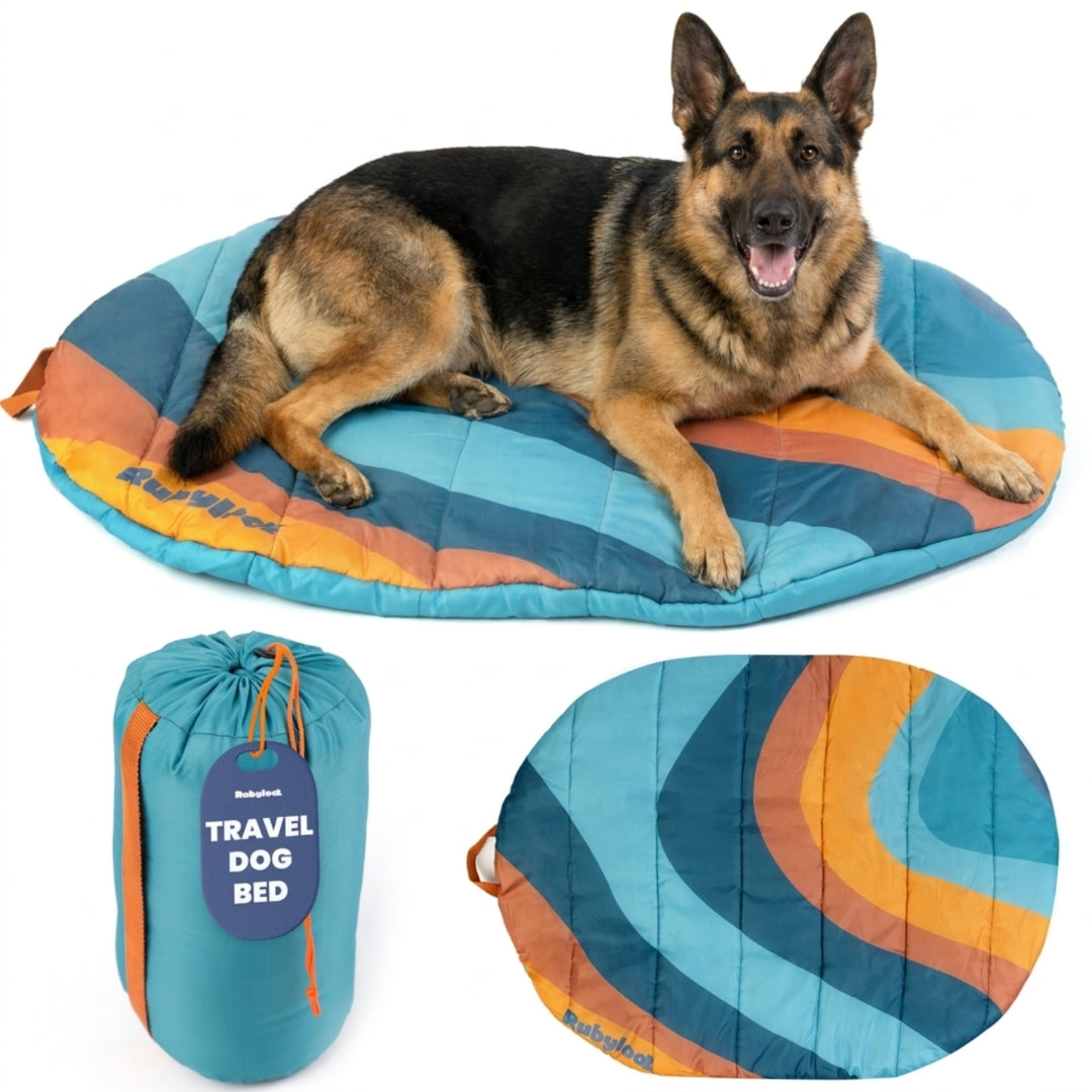 Travel Dog Bed - Foldable & Packable for Travel, Road Trip, Camping - Majestic Pet Kingdom