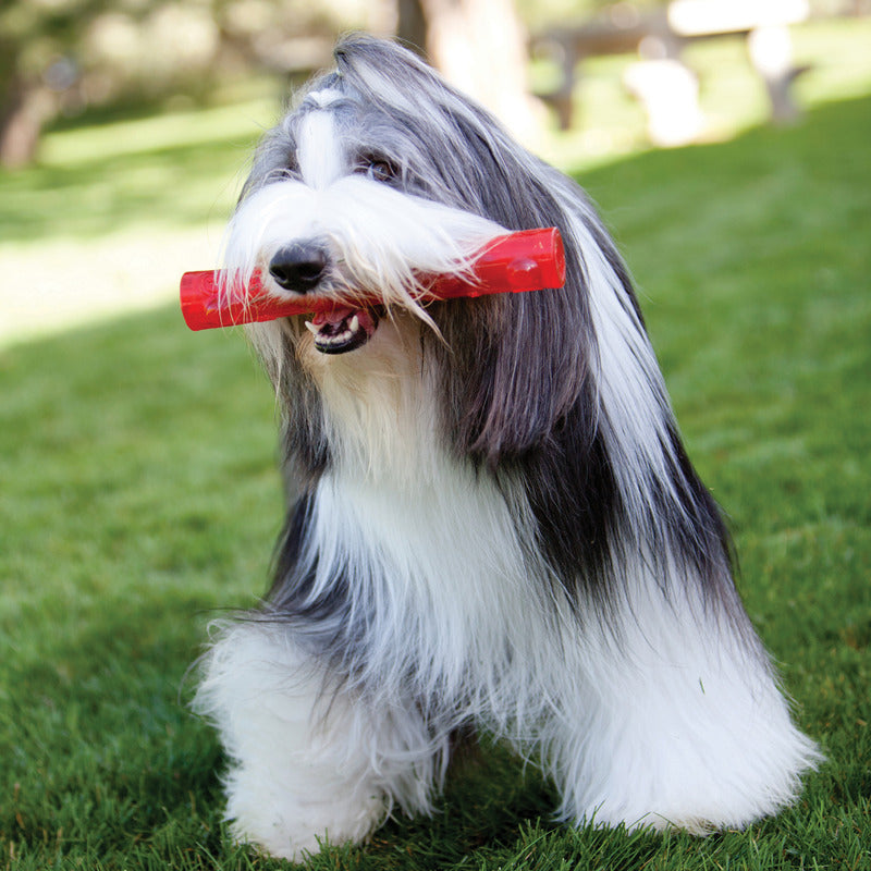 Dog Chew Toy KONG Squeezz Stick Squeaky Durable Fetch Play