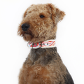 Molly Faux Fur Ergonomic Walking Harness Premium Design | Majestic Pet Kingdom™