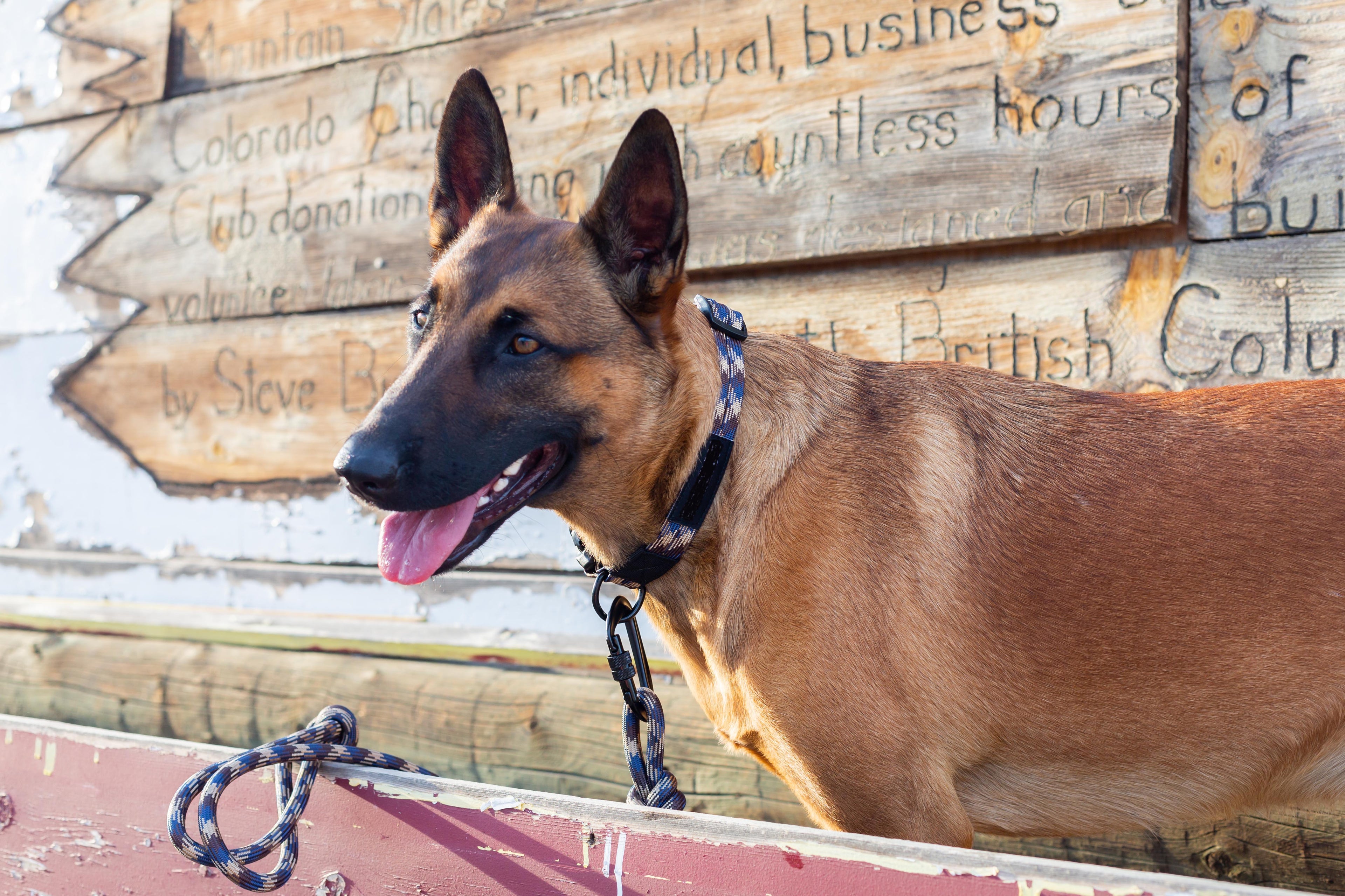 Climbing Rope Dog Leash