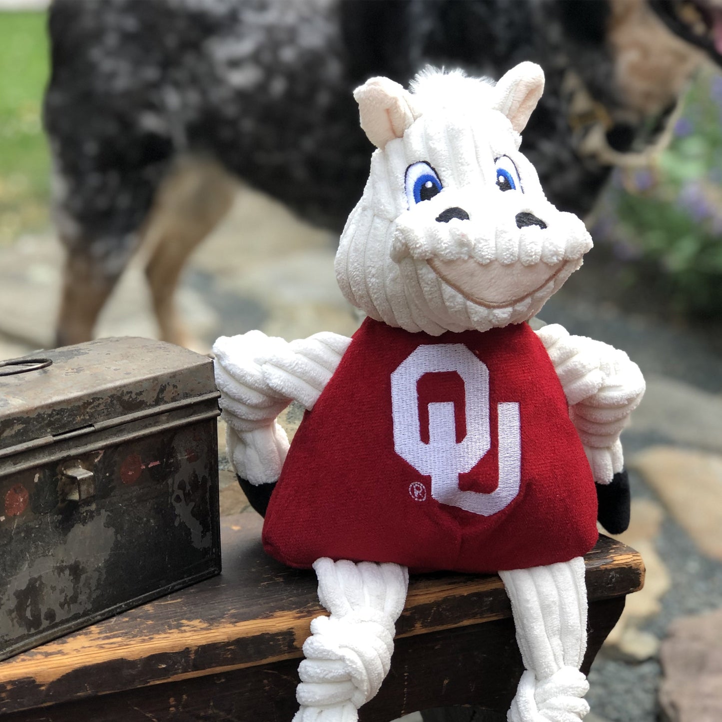 Dog Plush Toy NCAA Oklahoma Sooner Mascot Knottie Squeaky Toy - Detail Angle 5 | Majestic Pet Kingdom