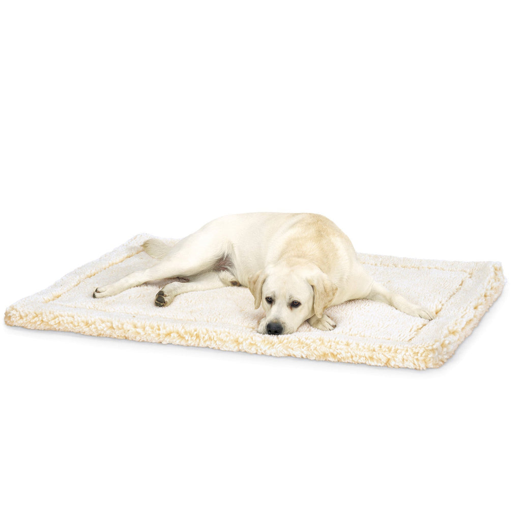 Pet Supply Product | The Finest Market