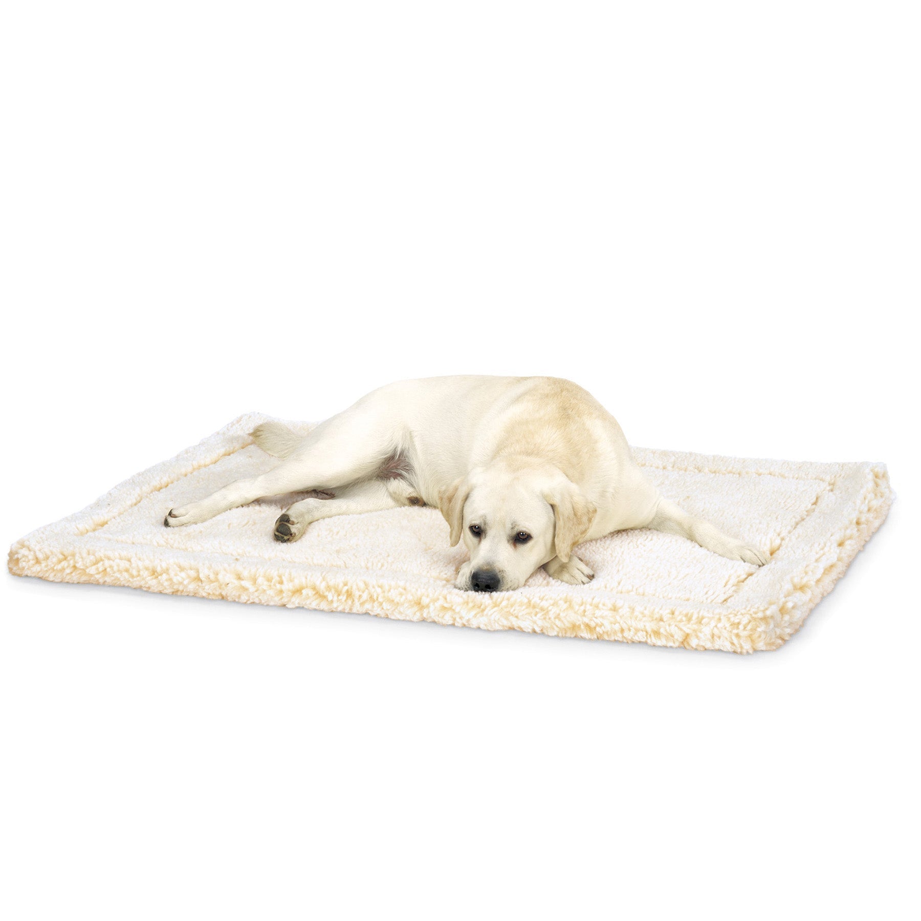 Pet Supply Product | The Finest Market