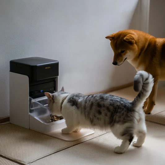 RFID Automatic Smart Feeder for Pets – App-Controlled Individual Feeding - Majestic Pet Kingdom