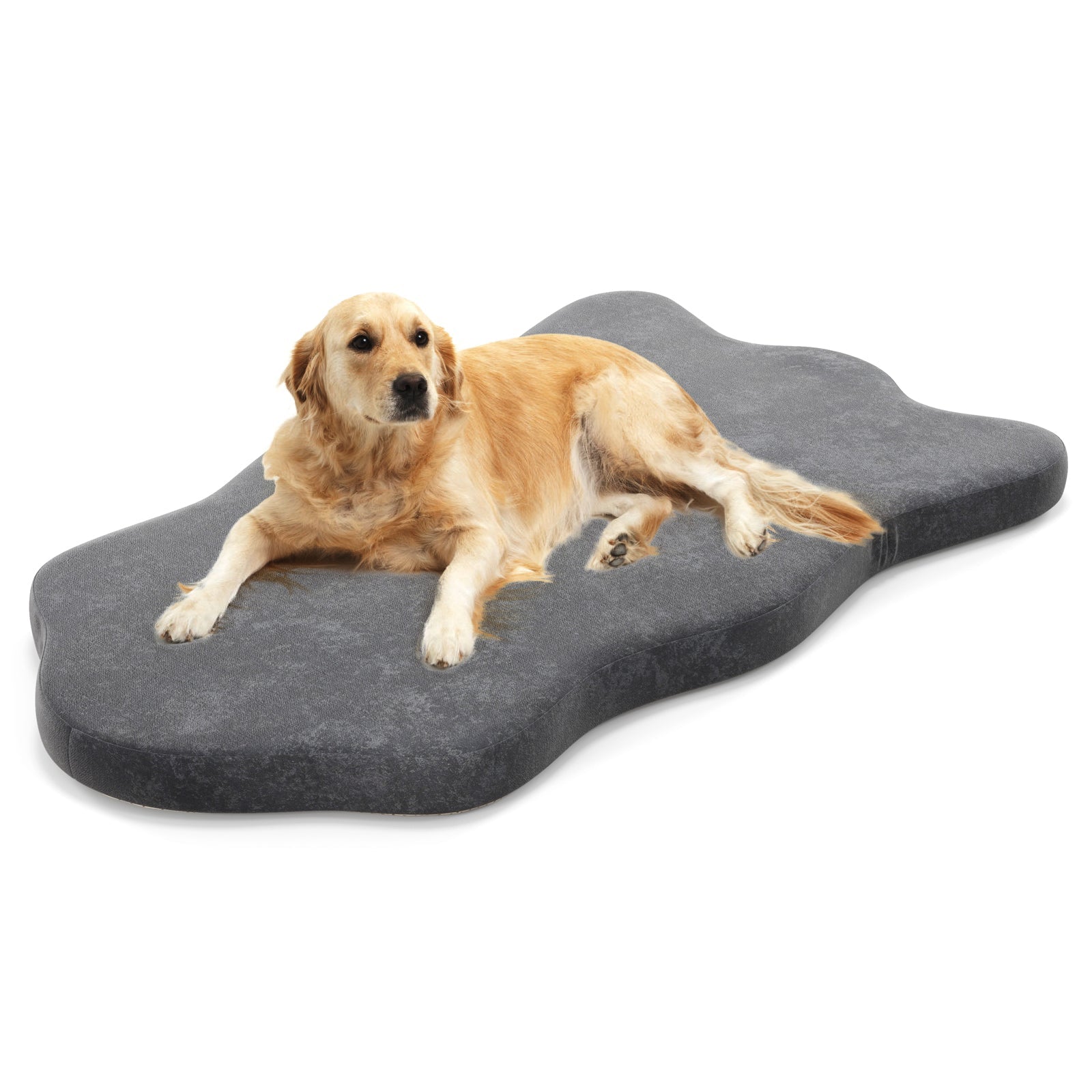 Orthopedic Dog Bed with Memory Foam Support for Large Dogs - Majestic Pet Kingdom