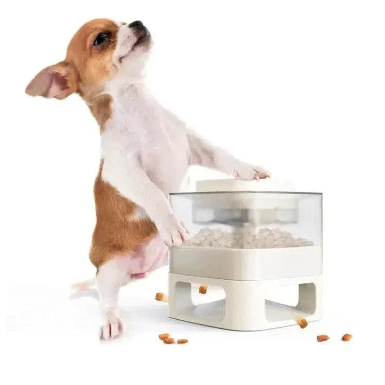 Dog Toy Dog Treat Interactive Pet Treat Catapult Training