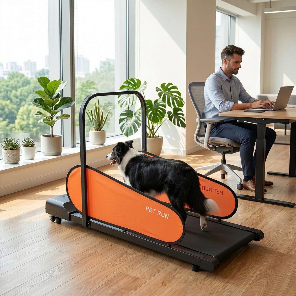 Dog Treadmill with LED Display & Adjustable Speed - Majestic Pet Kingdom
