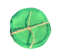 Reusable Natural Cotton Pet Eye & Ear Cleaning Pads