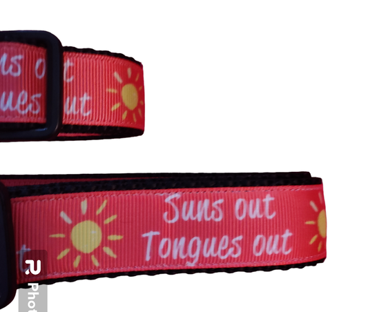 Sun's Out Tongue's Out Black Nylon Dog Collar MD, LG, XL, Leash | Purrfect Pet Kingdom