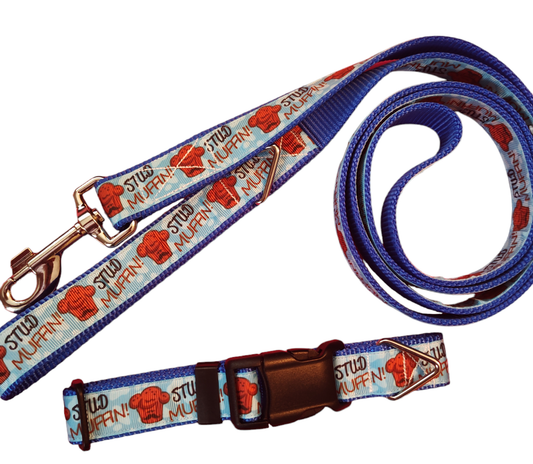 Stud Muffin Blue Nylon Dog Collar MD, LG, XL, Leash | Purrfect Pet Kingdom