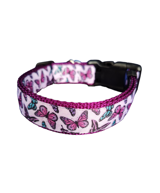 Purple Butterflies Purple Nylon Dog Collar MD, LG, XL, Leash | Purrfect Pet Kingdom