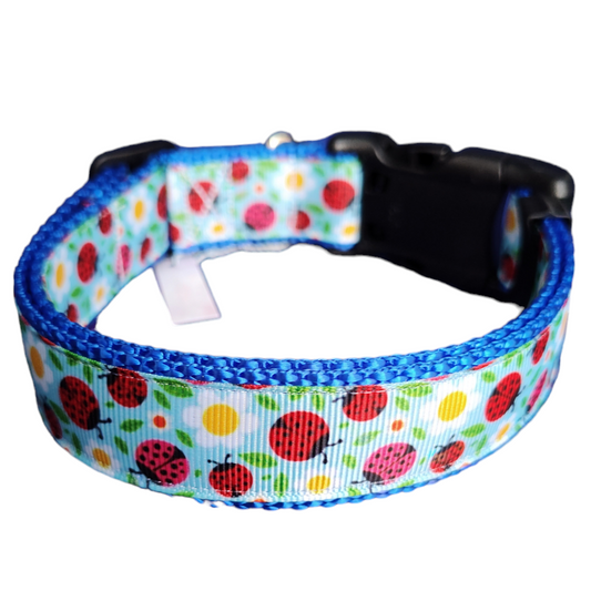 Ladybugs and Daisies Blue Nylon Dog Collar MD, LG, XL, Leash | Purrfect Pet Kingdom